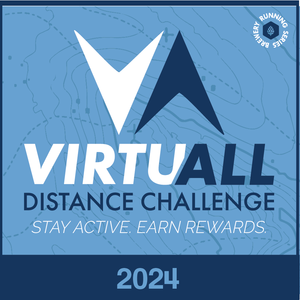 VirtuALL Distance Challenge